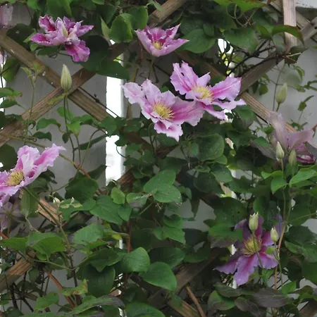 5 Ellesmere Avenue بيت للعطل *