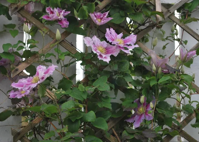 5 Ellesmere Avenue Tatil Evi *